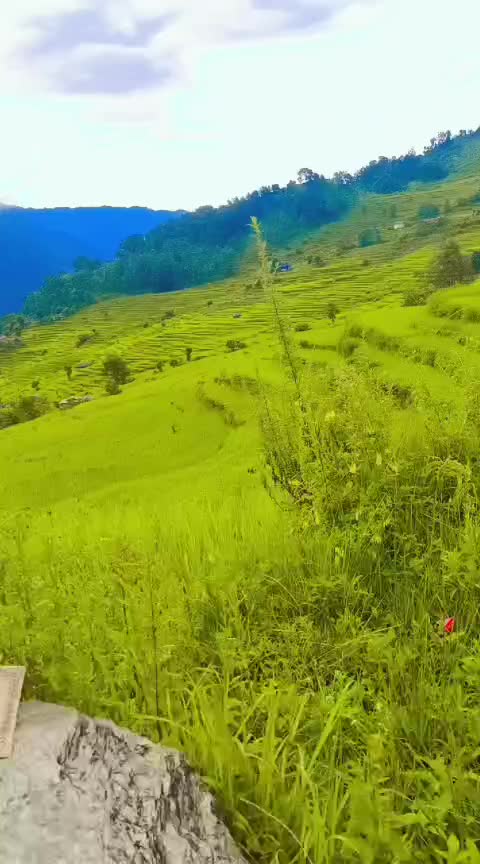 @❤️Vivek ❤️Suman❤️