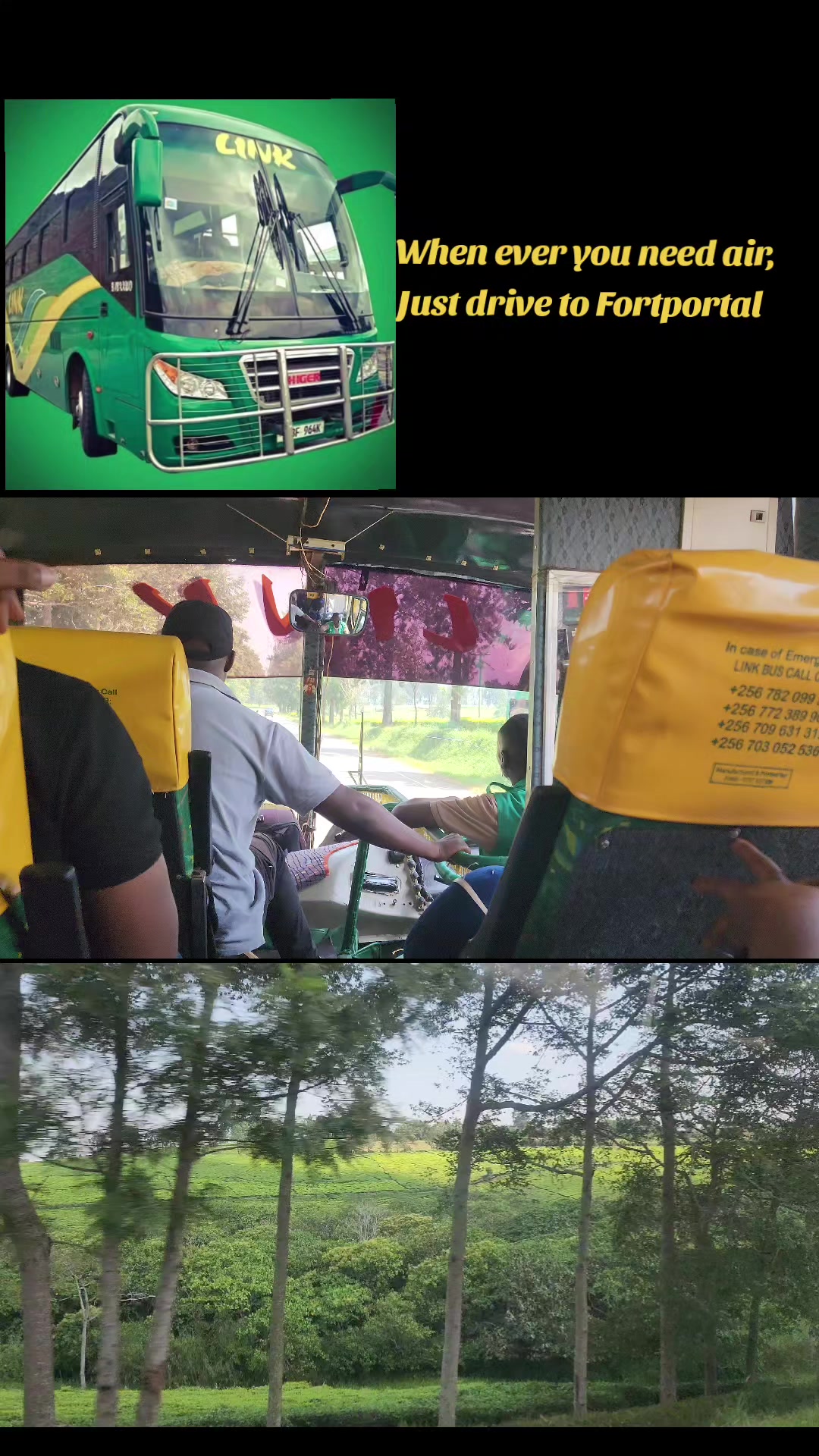 @Link Bus services Ltd