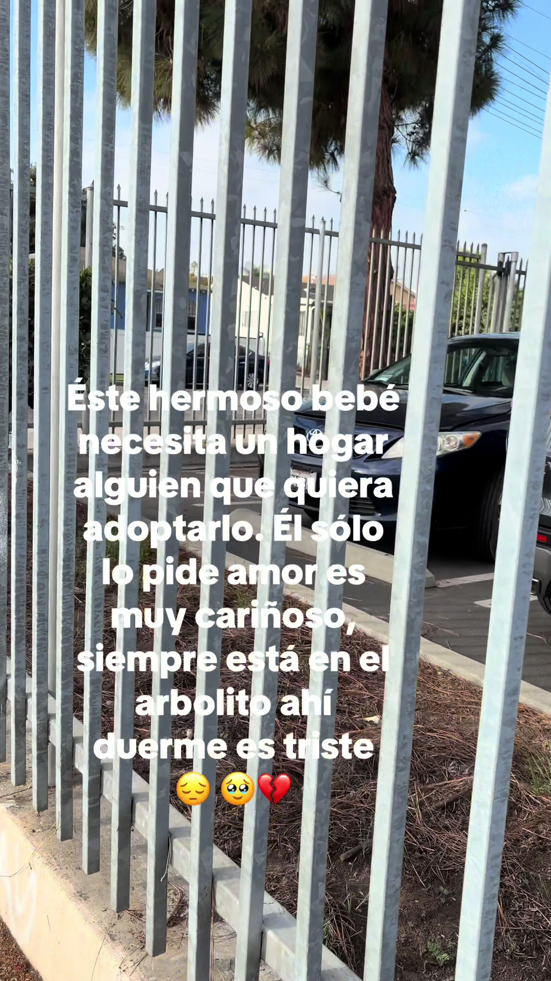 @✨ISABEL HERNANDEZ ✨
