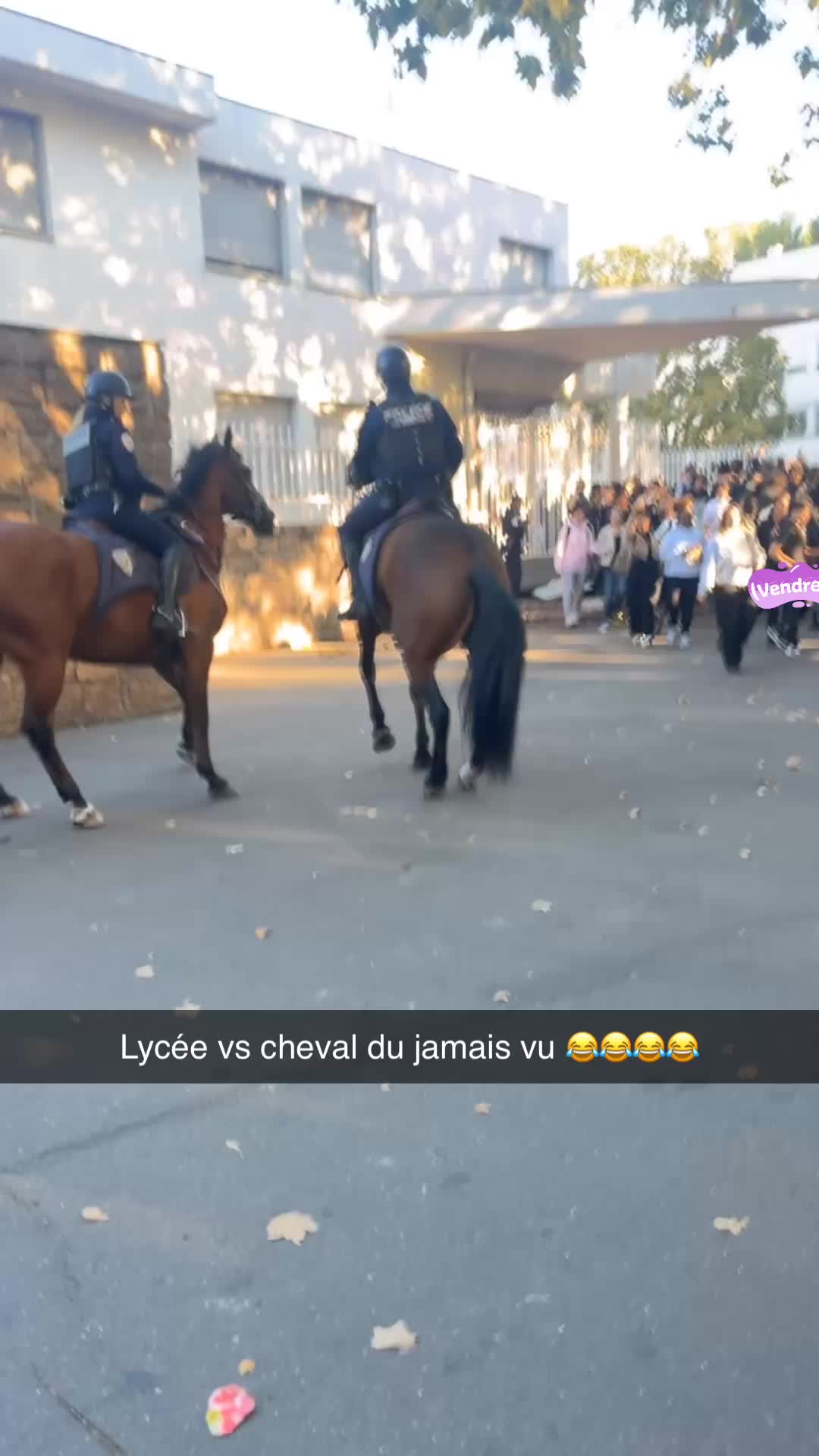 @dldkx