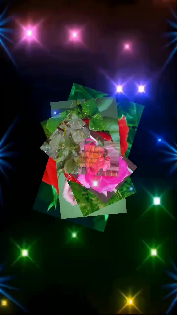 @Ariff Jani