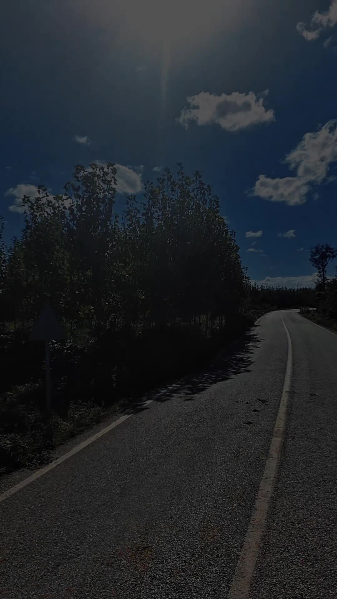 @nesibe Zengin ünlü