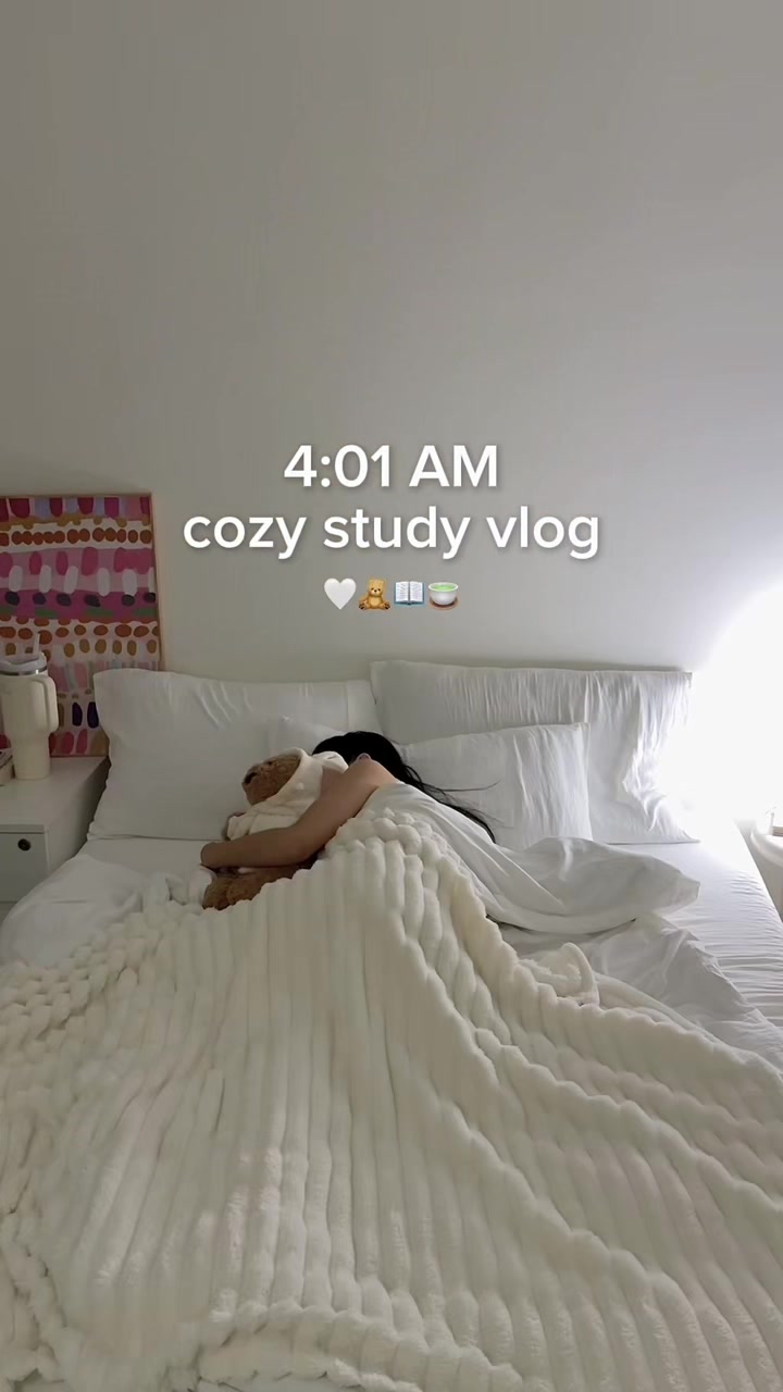 @Alice | study & tech 🧸