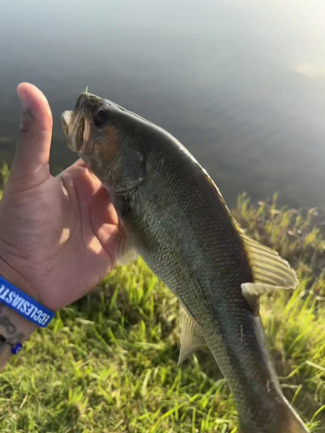@CrankBaitKev