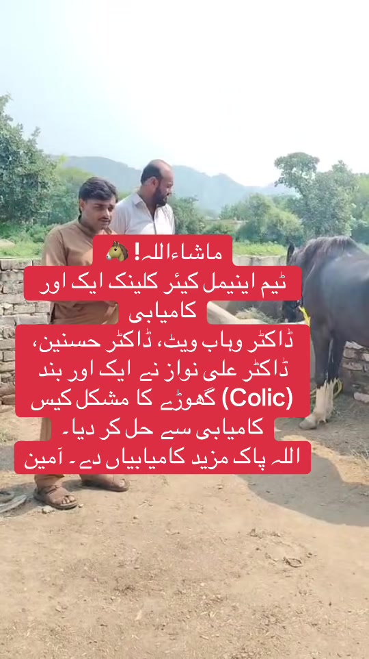 @Dr Wahab vet