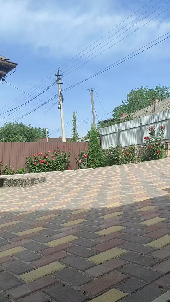 @Вудяшки❤️