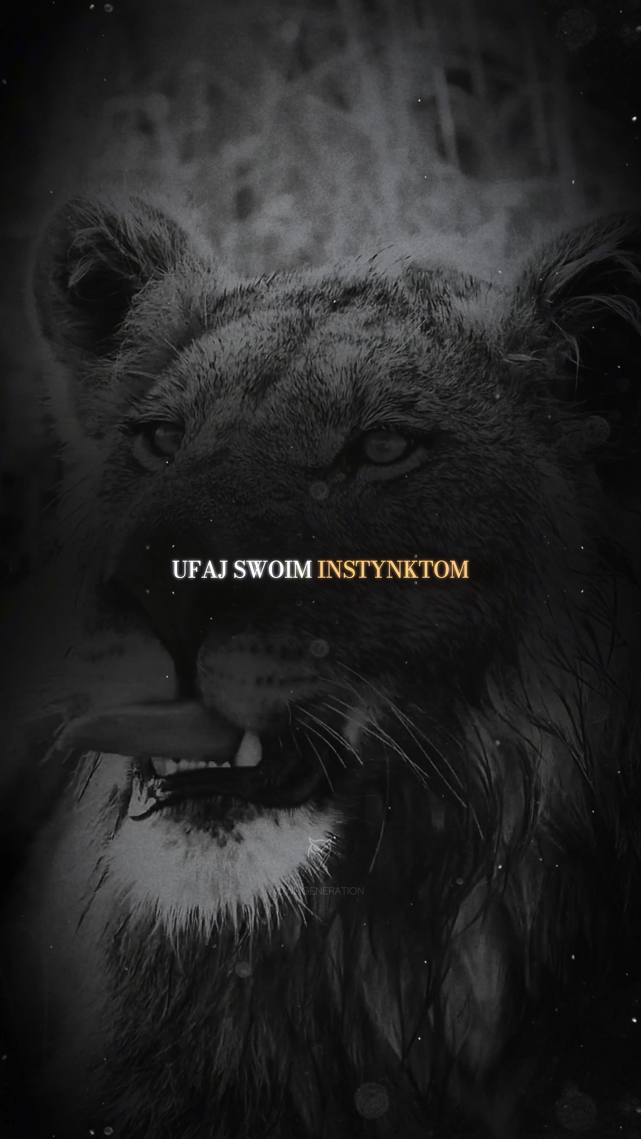 @OwlGeneration🦉🌙