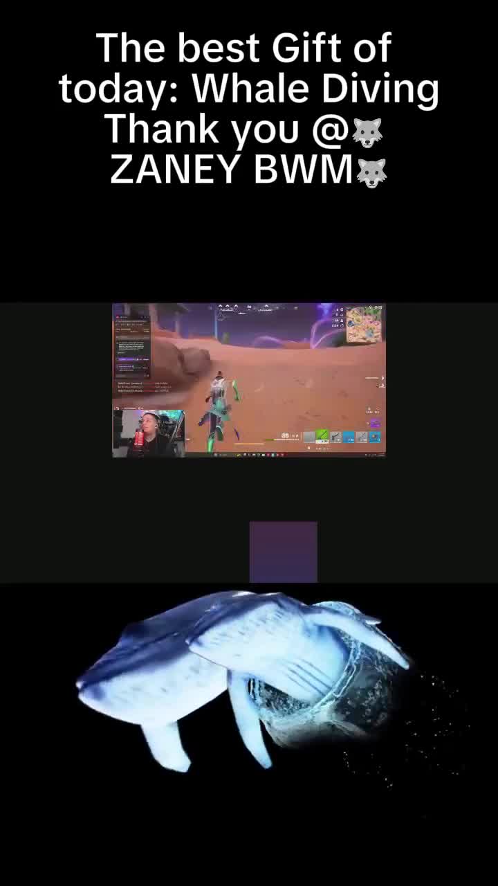@DjsPookieBearBWM🐺