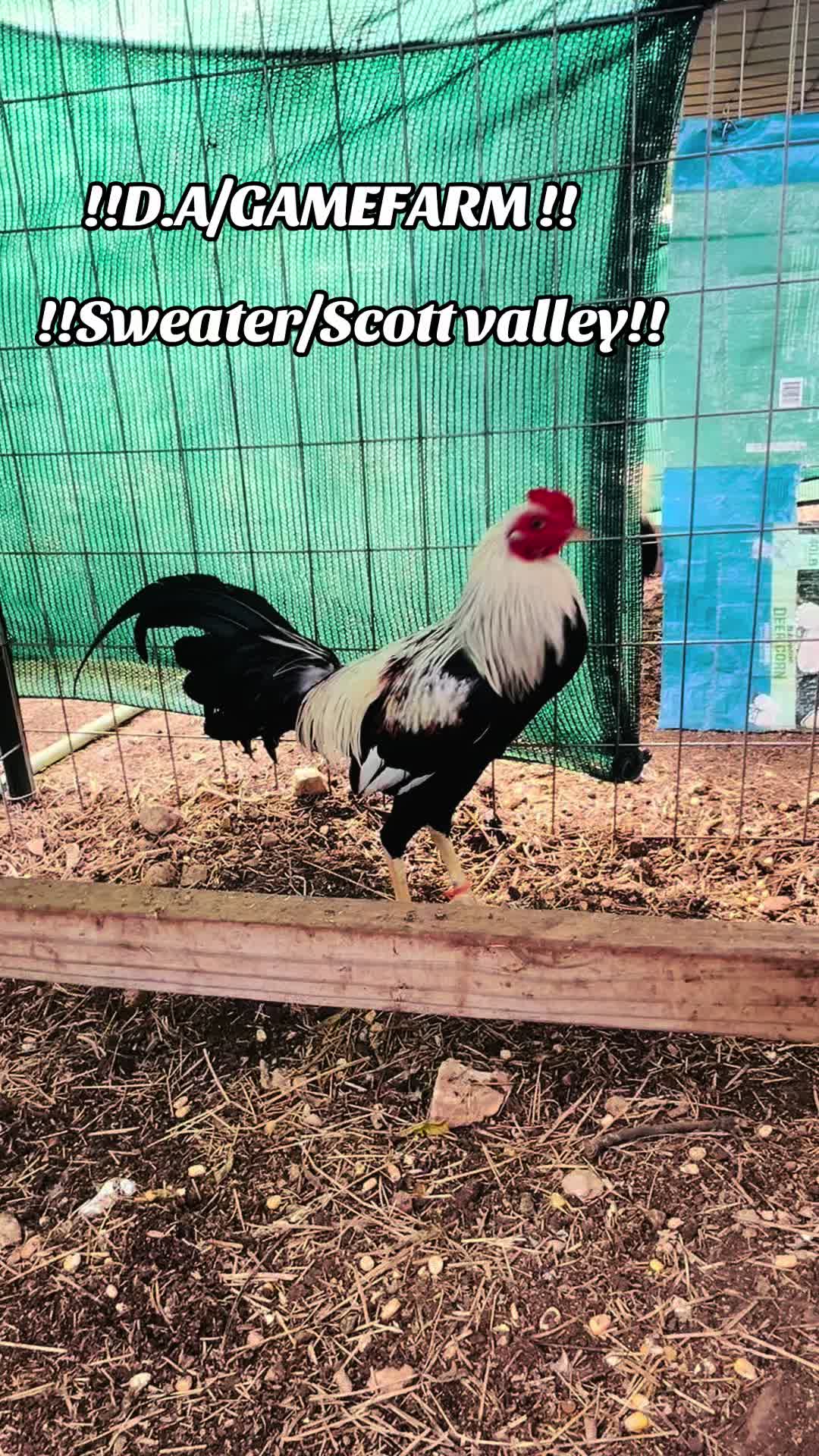 @DAgamefarm