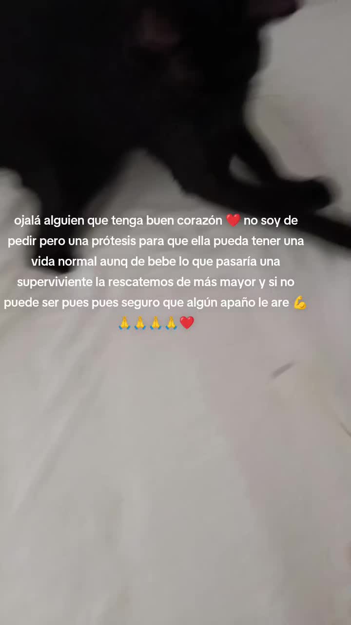 @Vero Jimenez Ferrer
