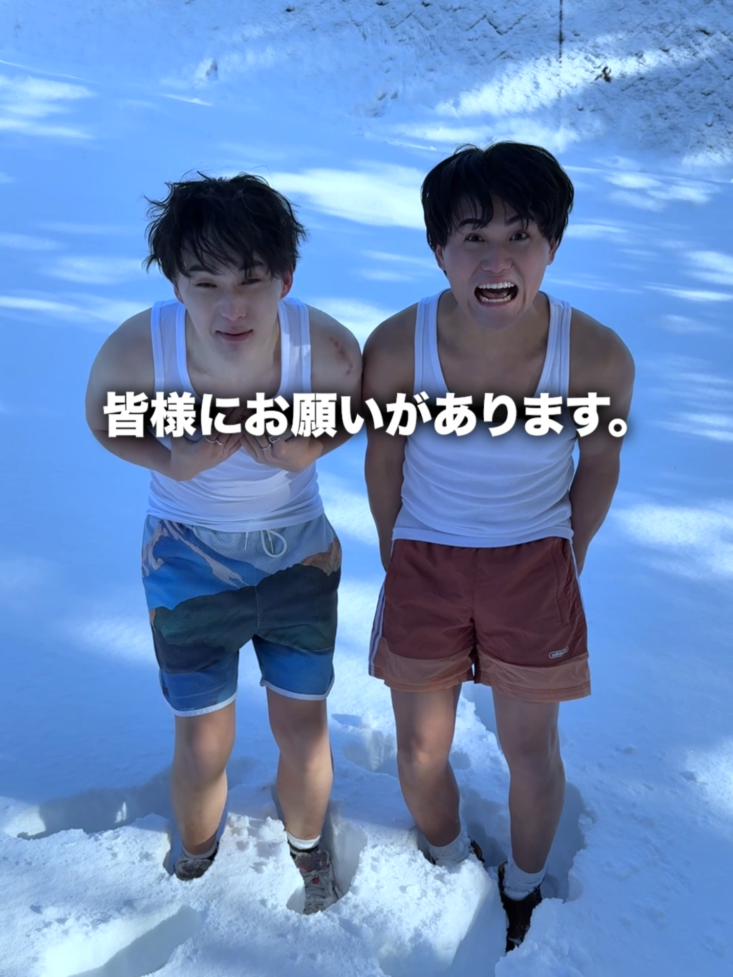 @伊吹とよへ