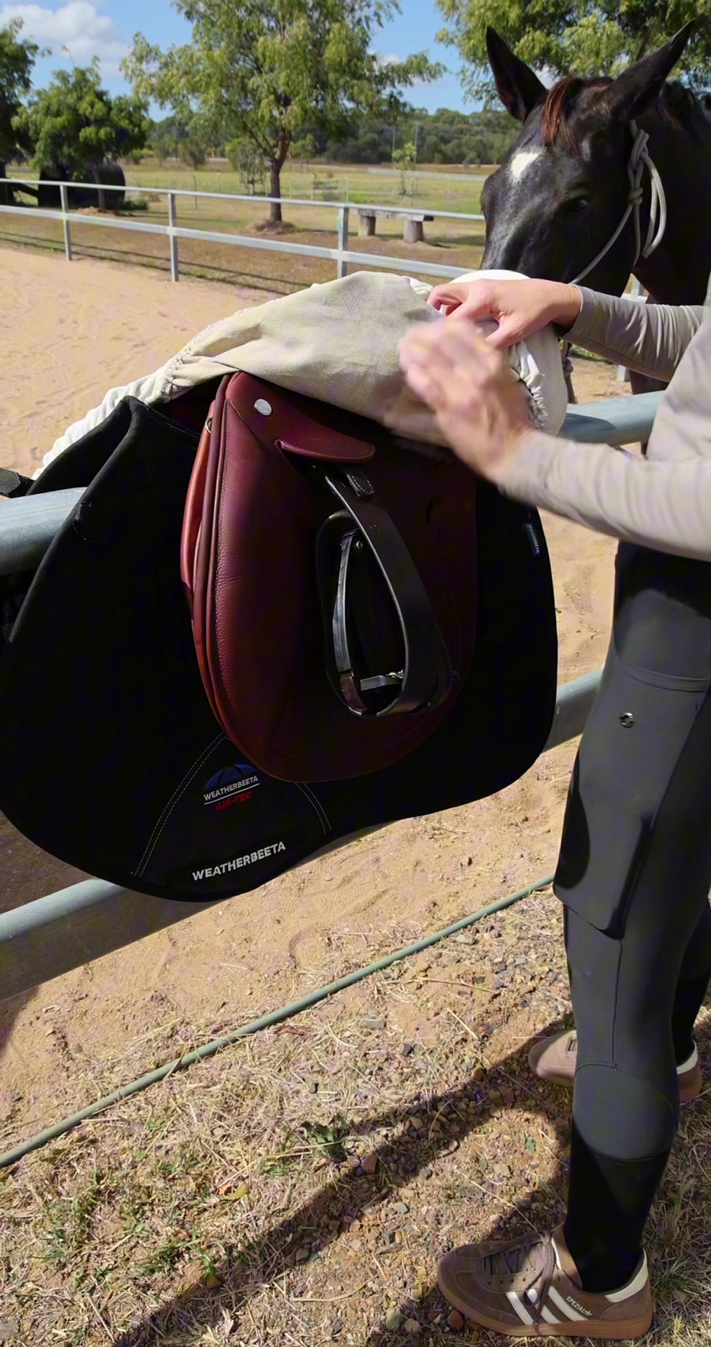 @LumiereEquestrian