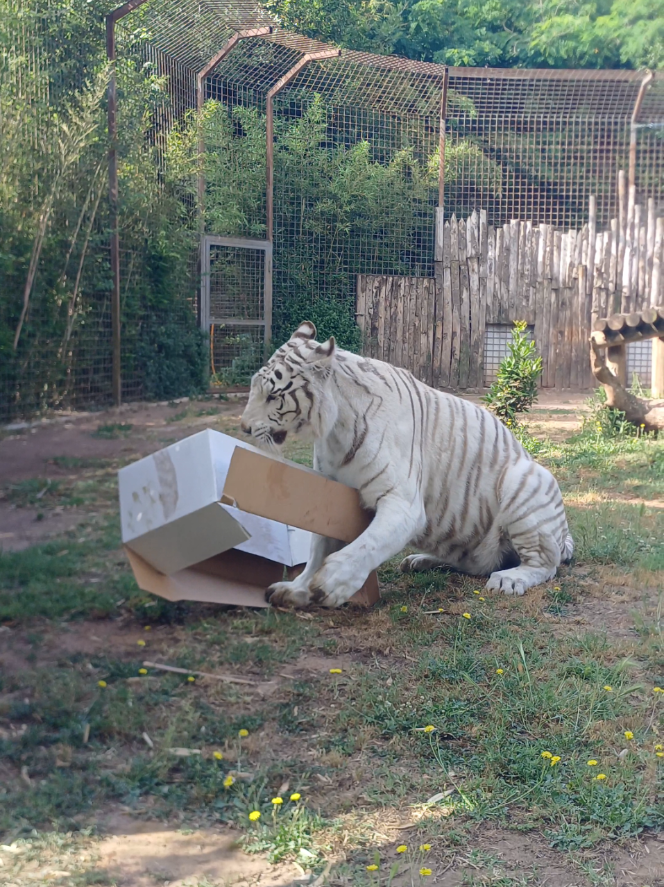 @Parco Zoo delle Star