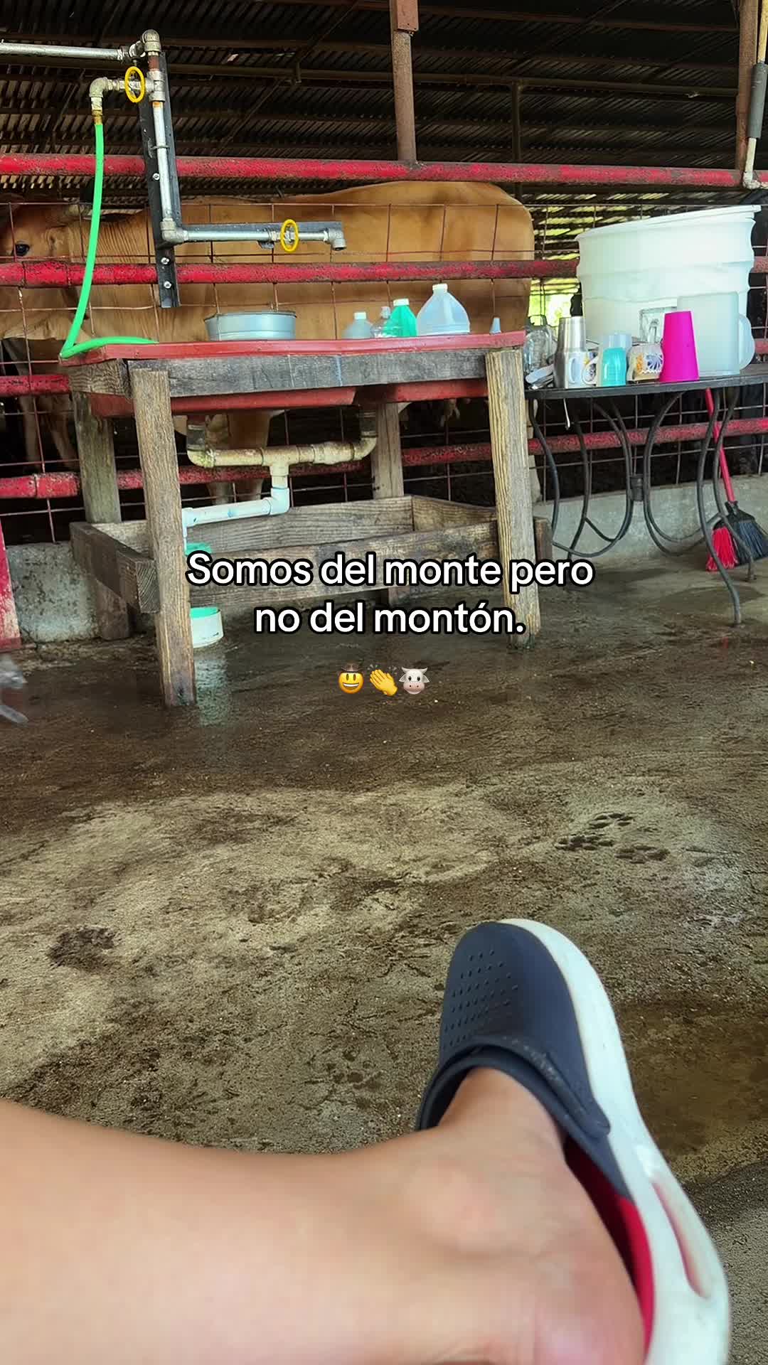 @ Pf. Estrella 🎀 