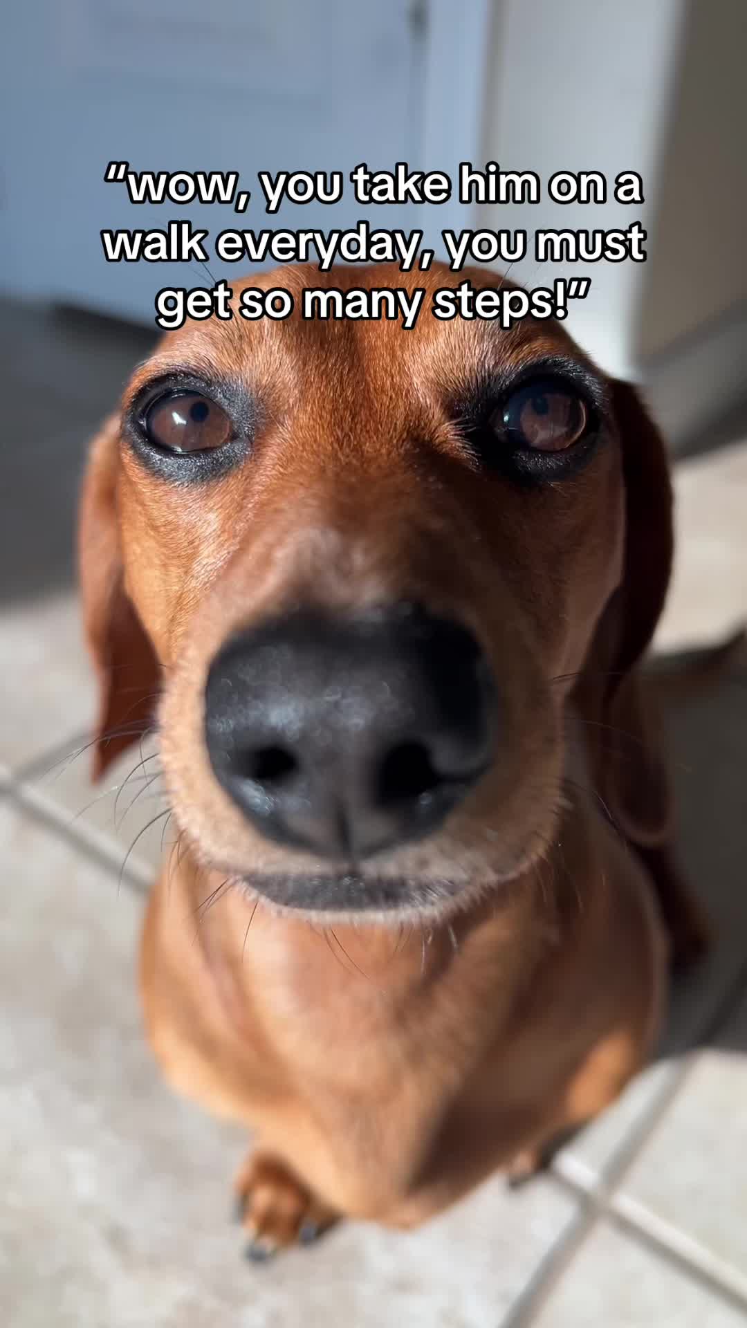 @Slinky Severus-Doo