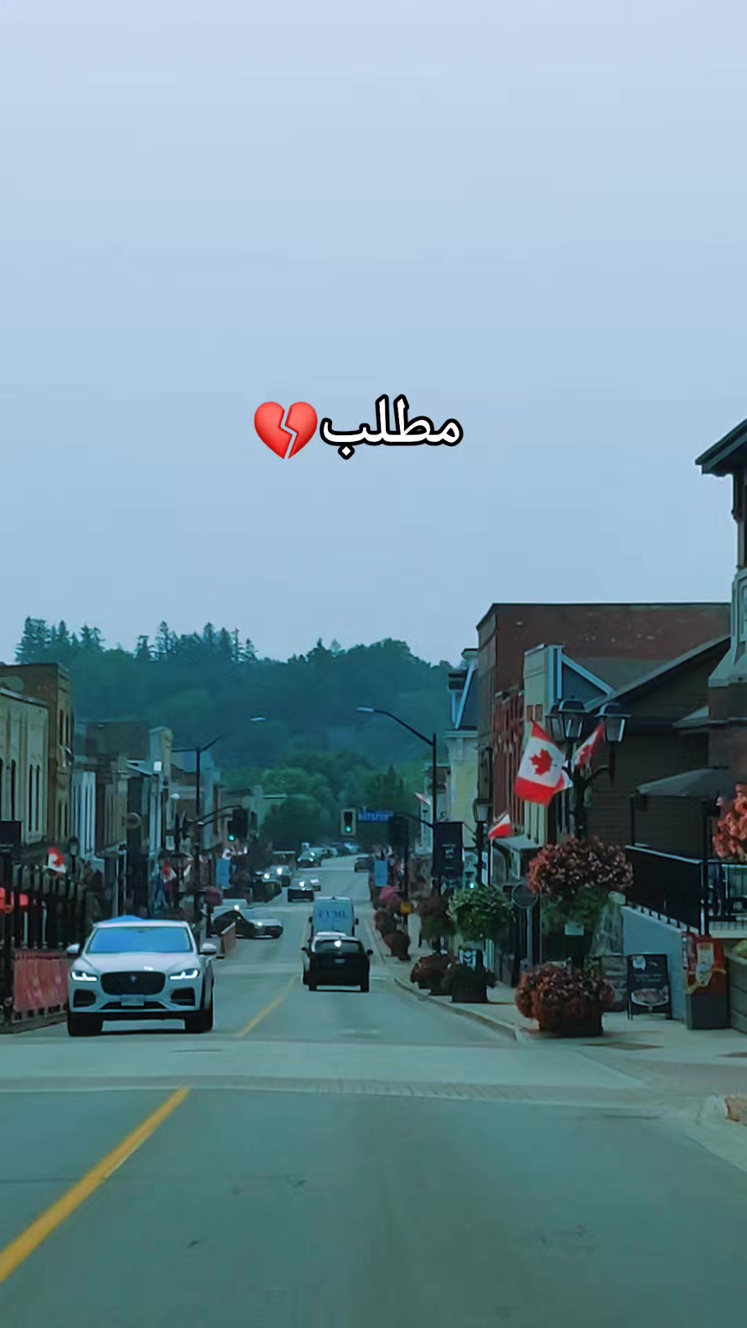 @Sher khan🇨🇦🥀