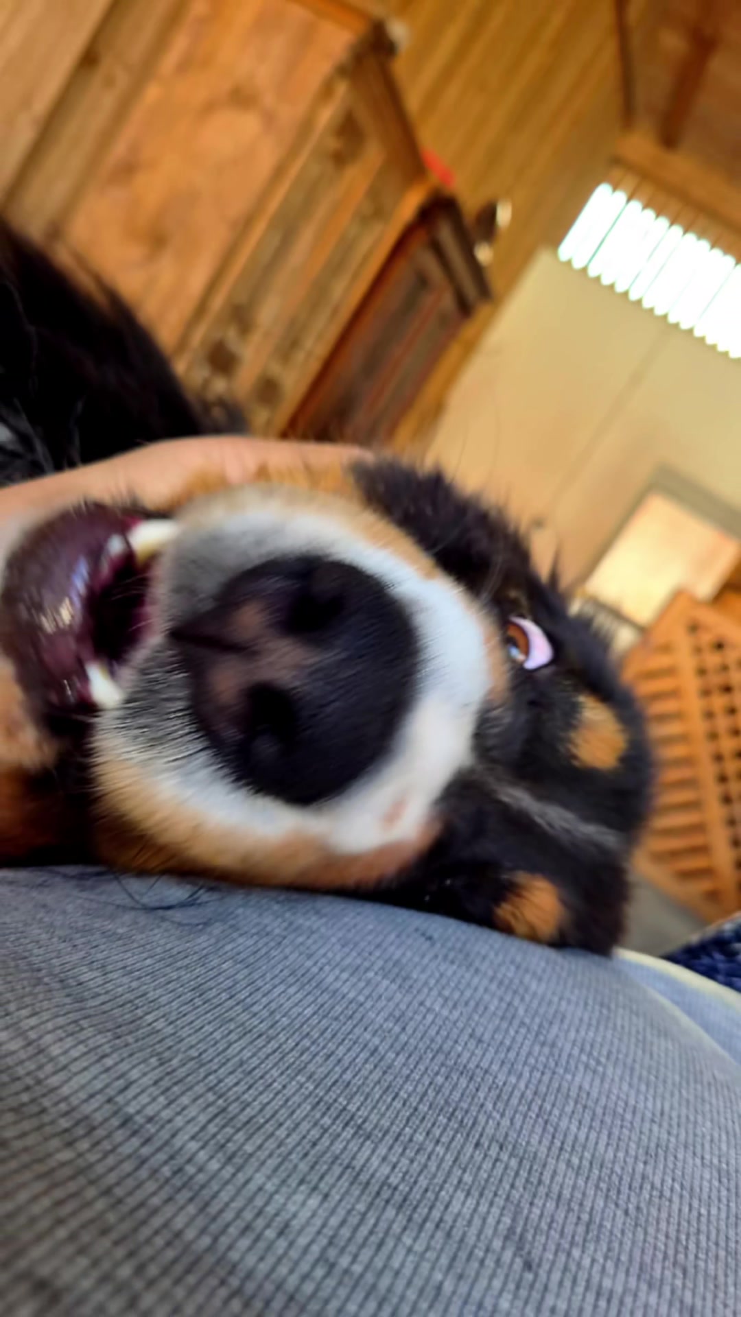@berner.bruno
