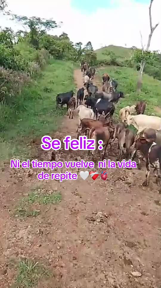 @Gaby herrera