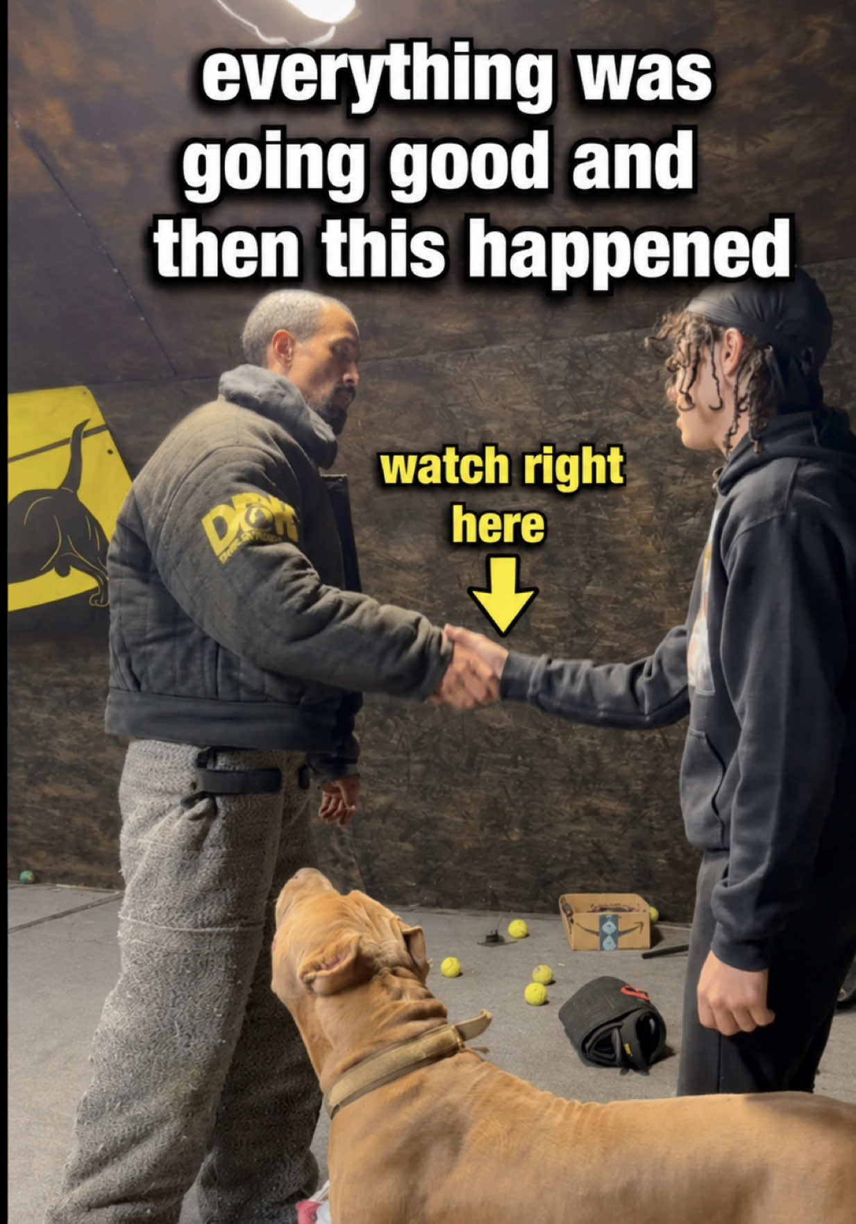 @DarkDynastyK9s