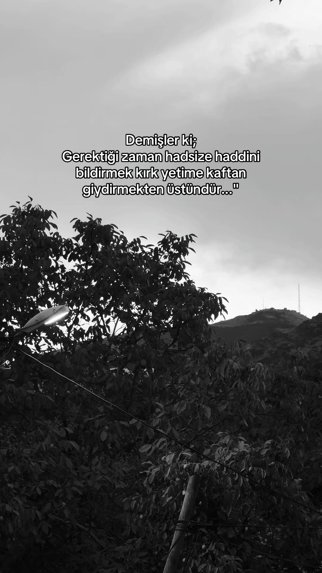 @𝐄 𝐑 𝐂 𝐌 𝐄 𝐃 𝐈 𝐀