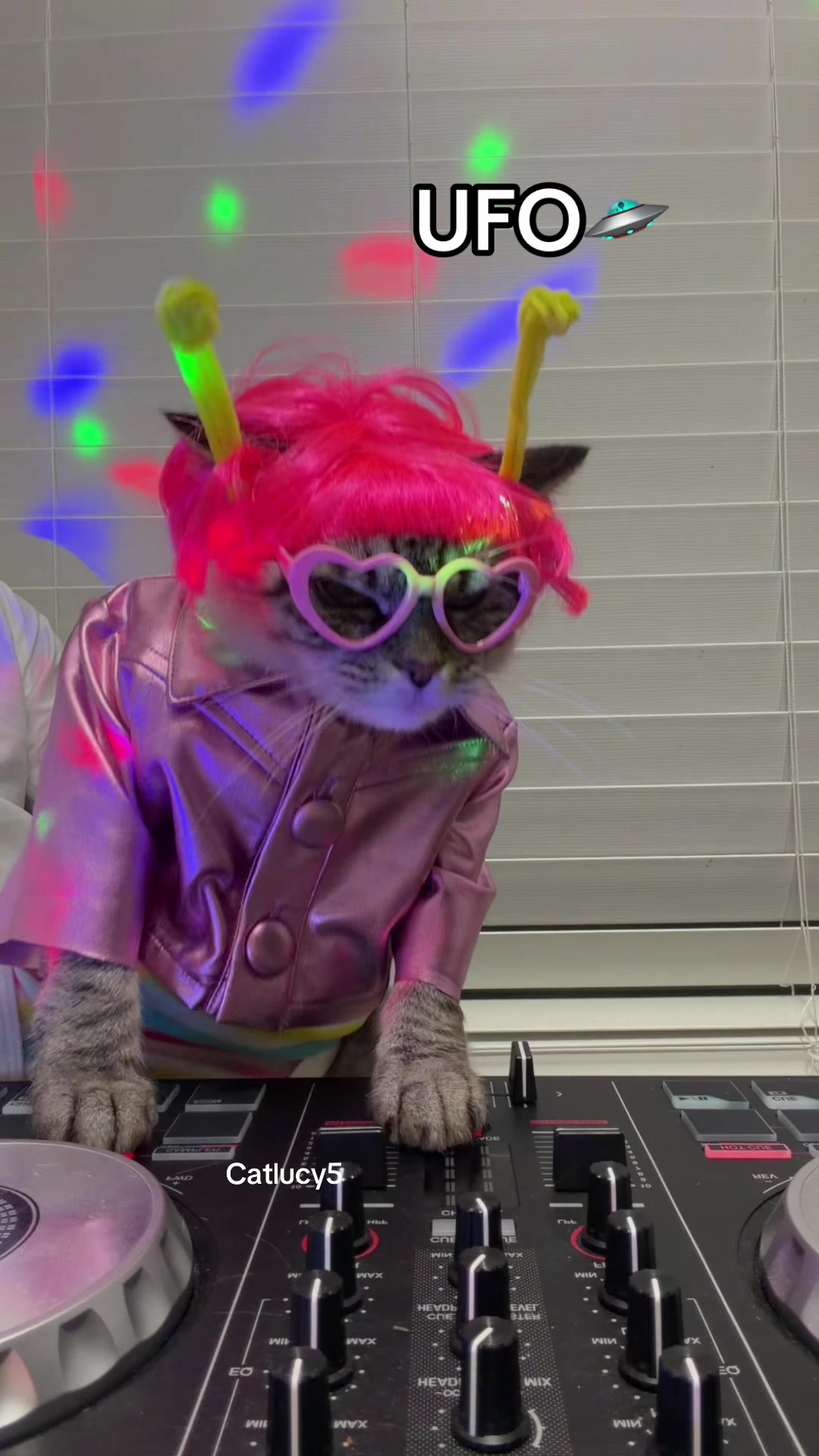 @Cat Lucy