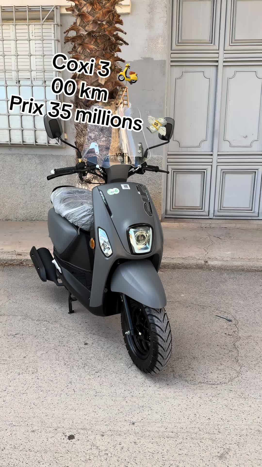 @Big Boy Moto