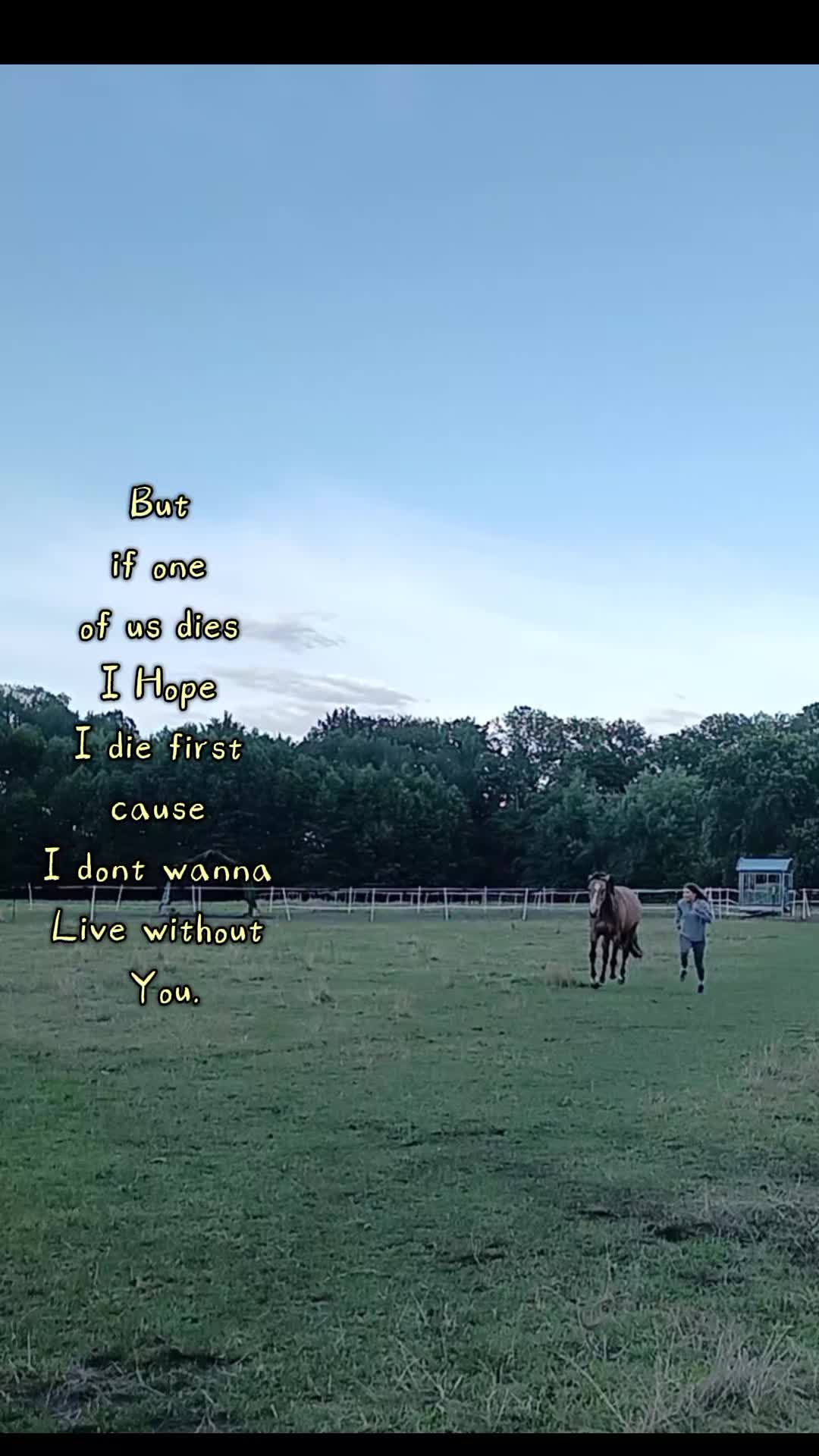 @𖹭❤️🩹𝐀&𝐑❤️🩹𖹭