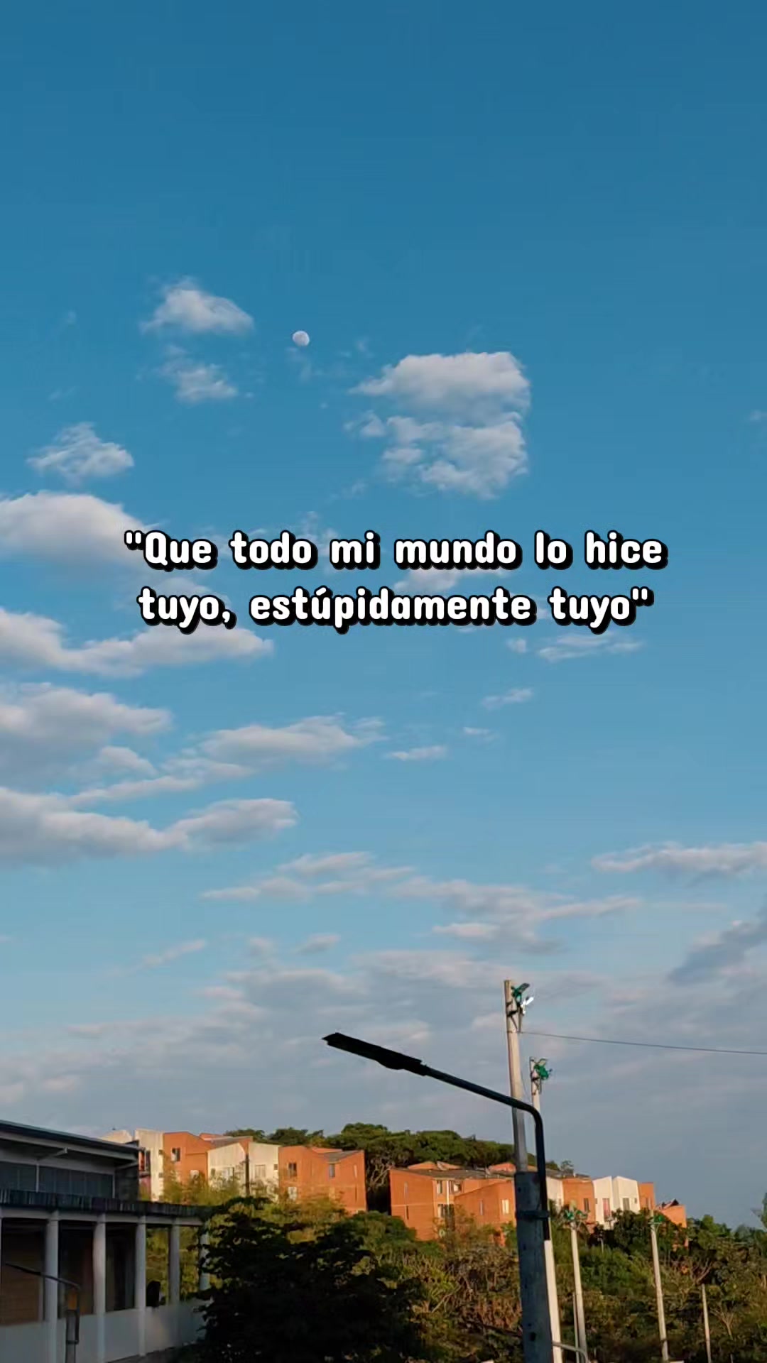 @Carol🦋