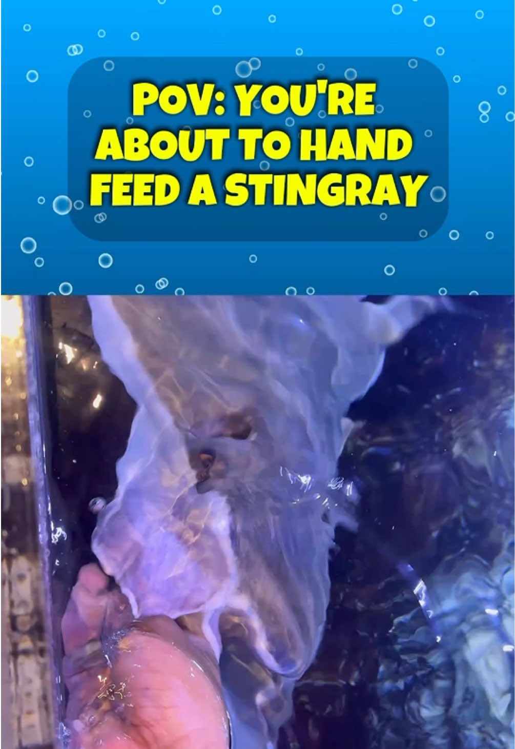 @San Antonio Aquarium