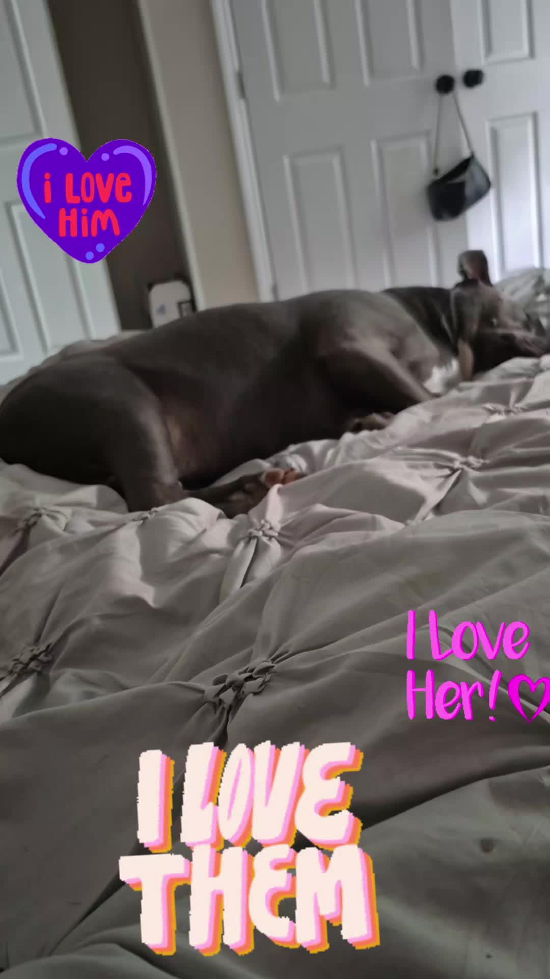 @DeeBestMom