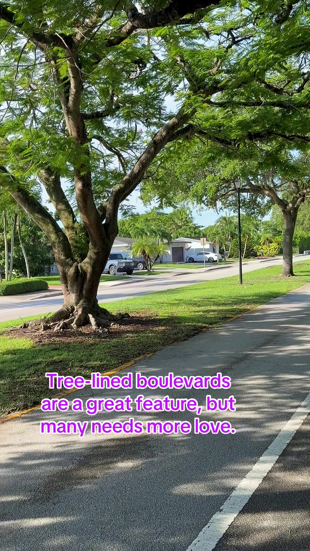 @Florida Land Guy