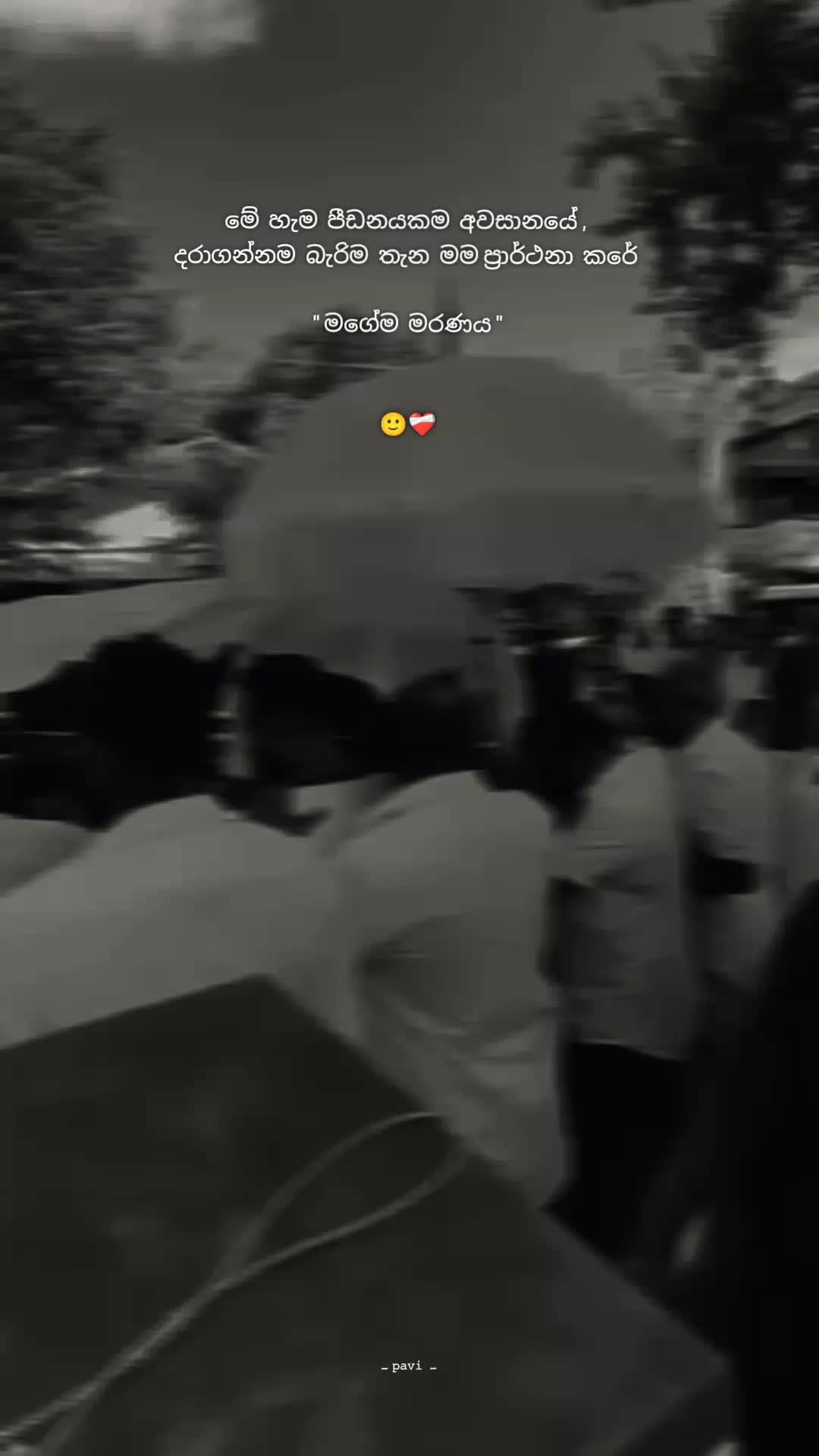 @ᴩᴀᴡᴀɴɪ .....💗🕊️