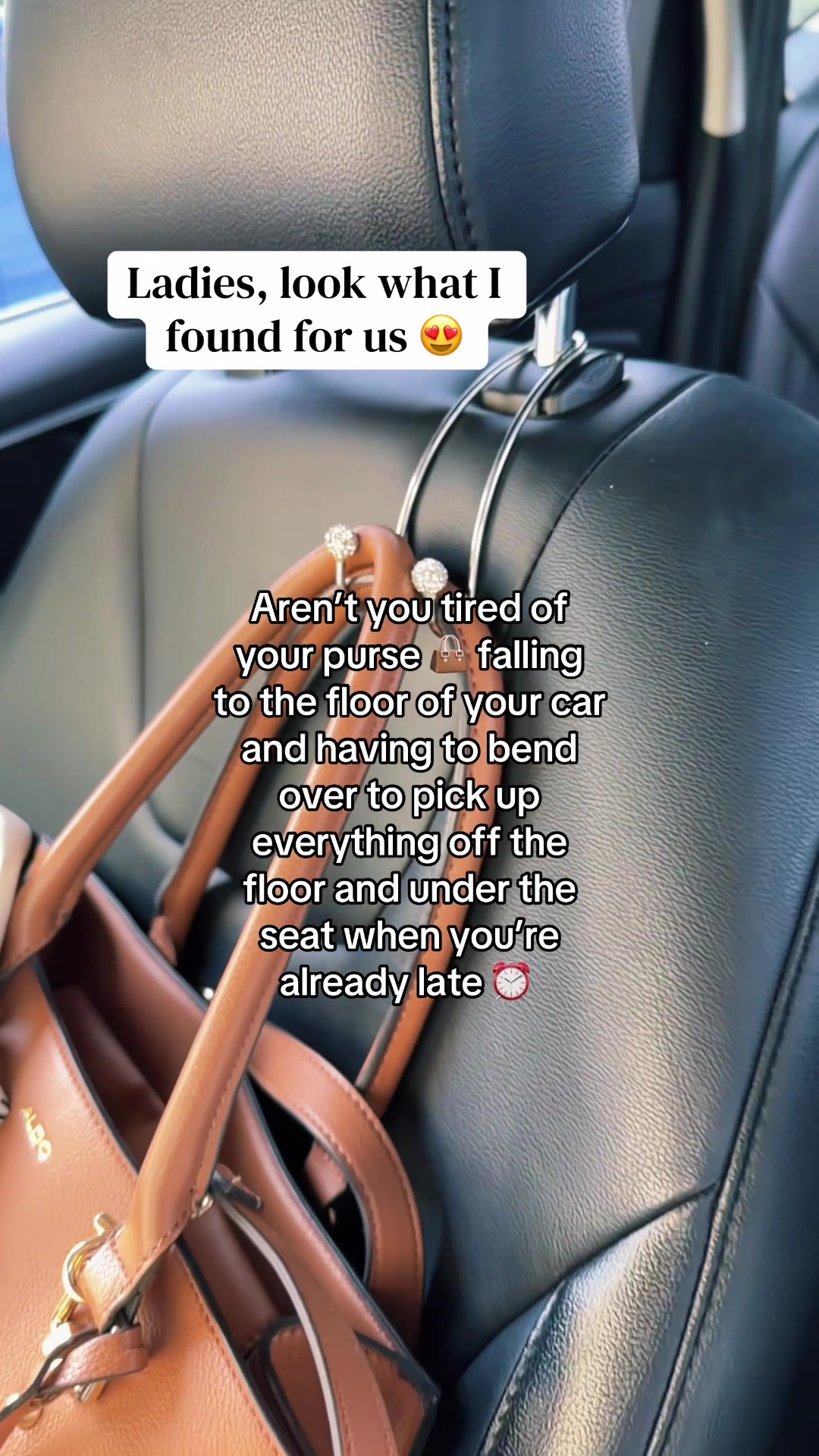 @ZW | Daily Finds