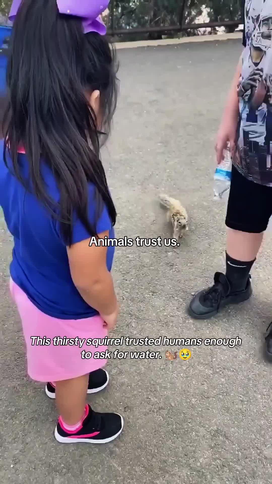 @WildwonderzZzz