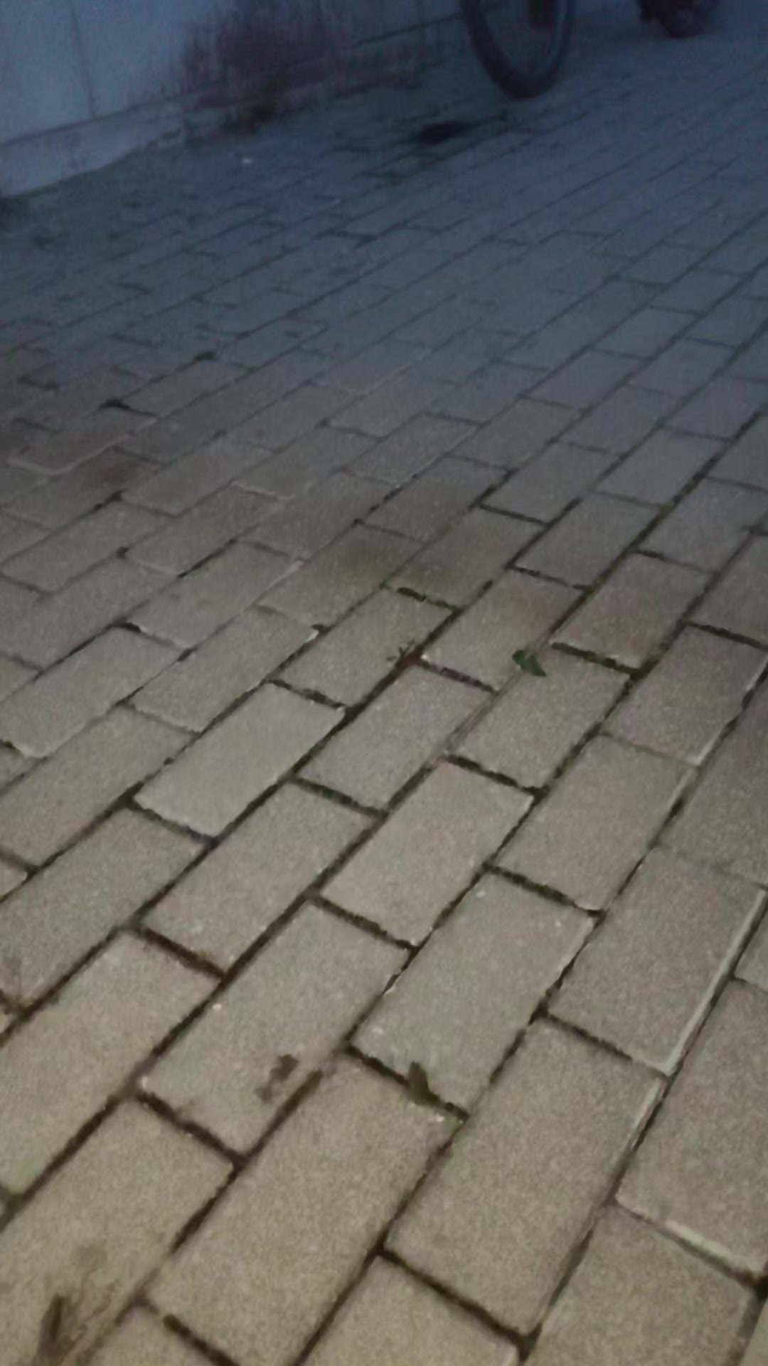 @Graco and op things on tiktok