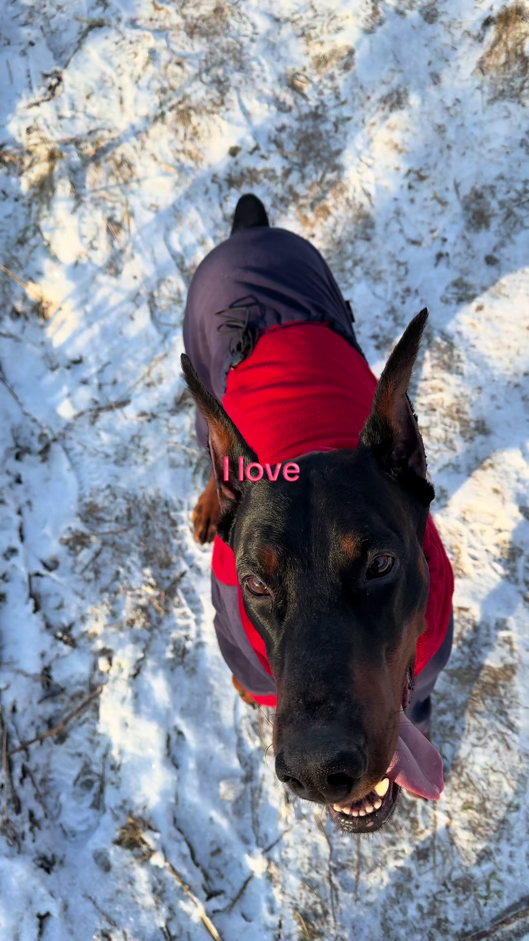 @Tanya&Dober