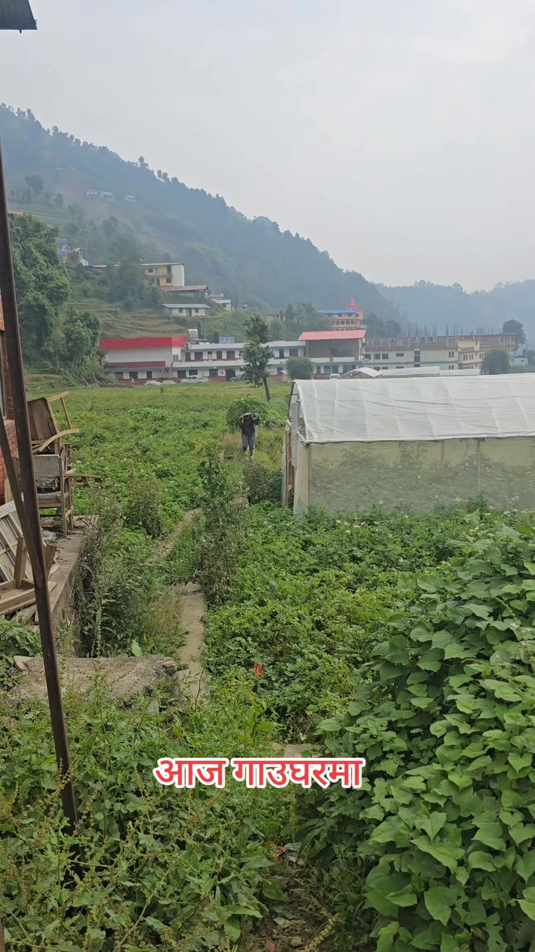 @Rajan Shrestha
