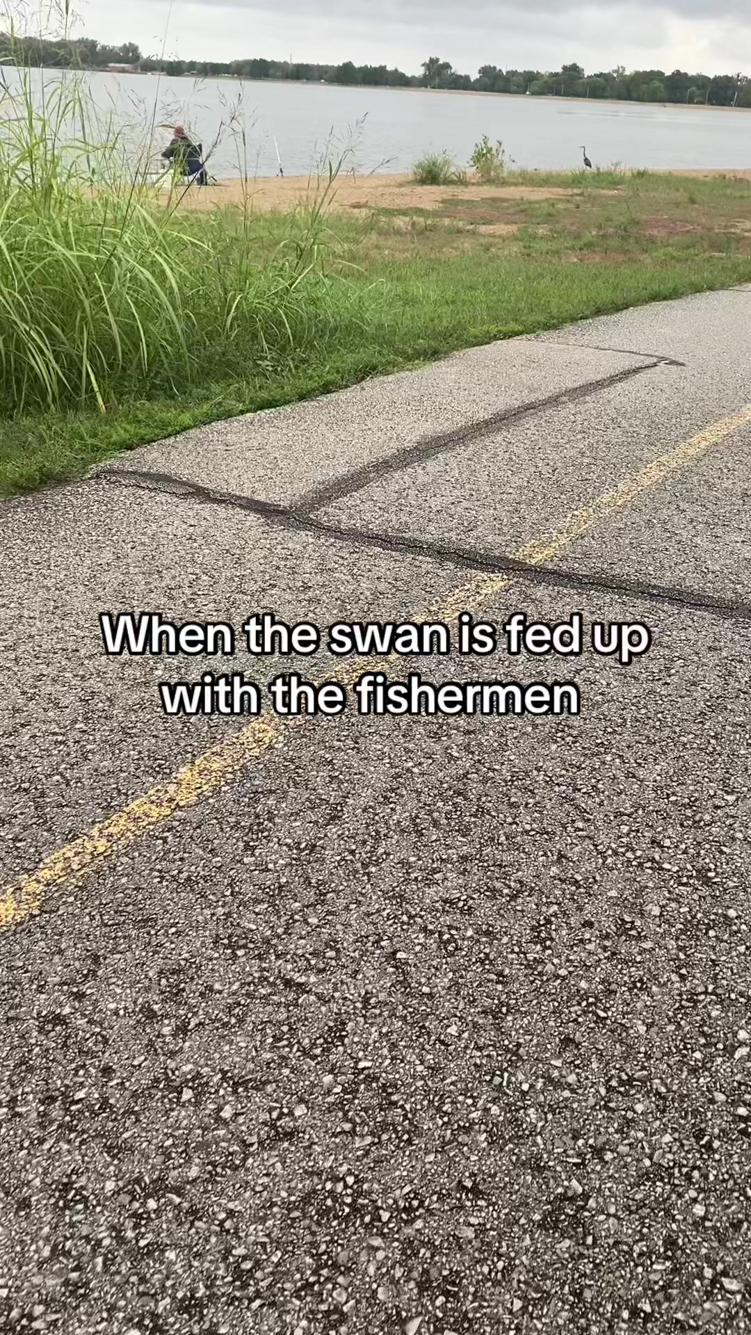 @Motiv_a_tay365