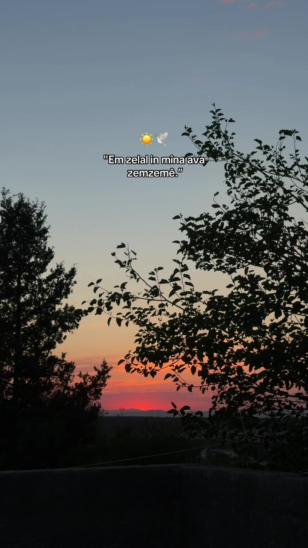 @𝓞𝓷𝓼𝓮𝓴𝓲𝔃𝓪𝓻𝓪𝓵ı𝓴