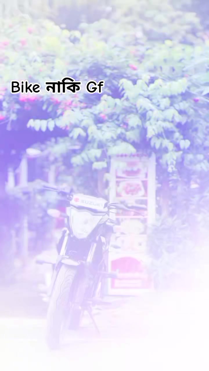 @໑₊ ˚✧𝓖𝔦xx૯𝔯_ℐїṧ𝔞𝗇꒷꒦‧₊˚