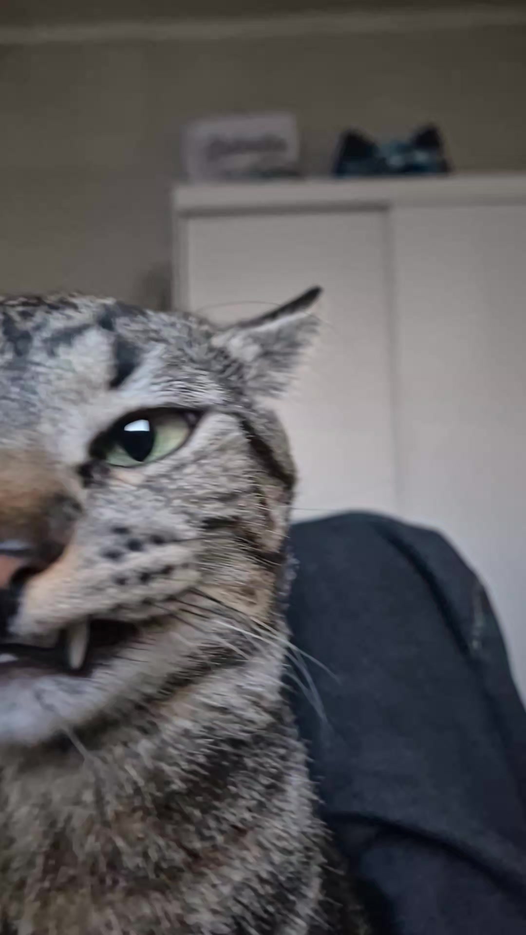@Mushu