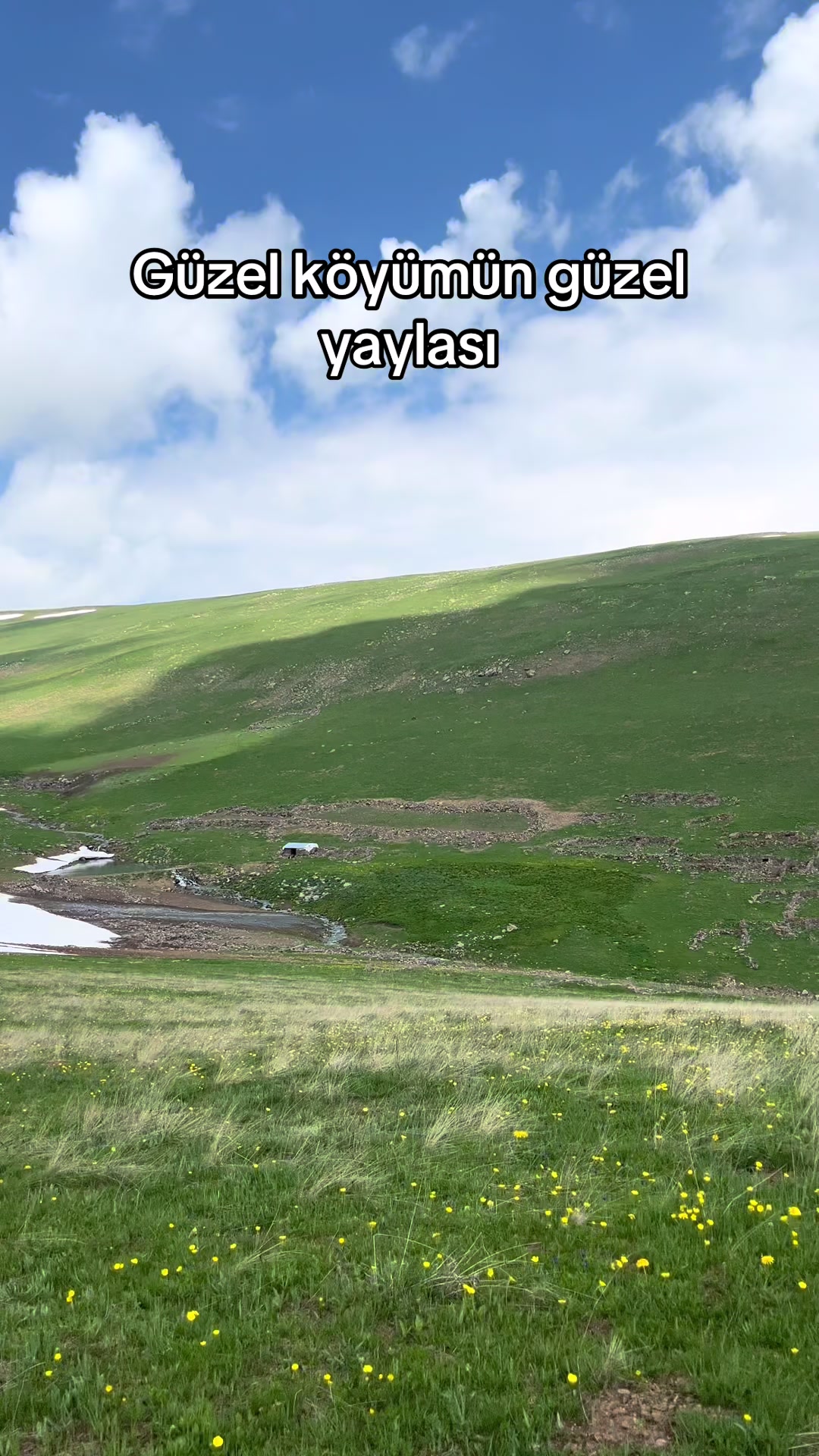 @Şarküteri