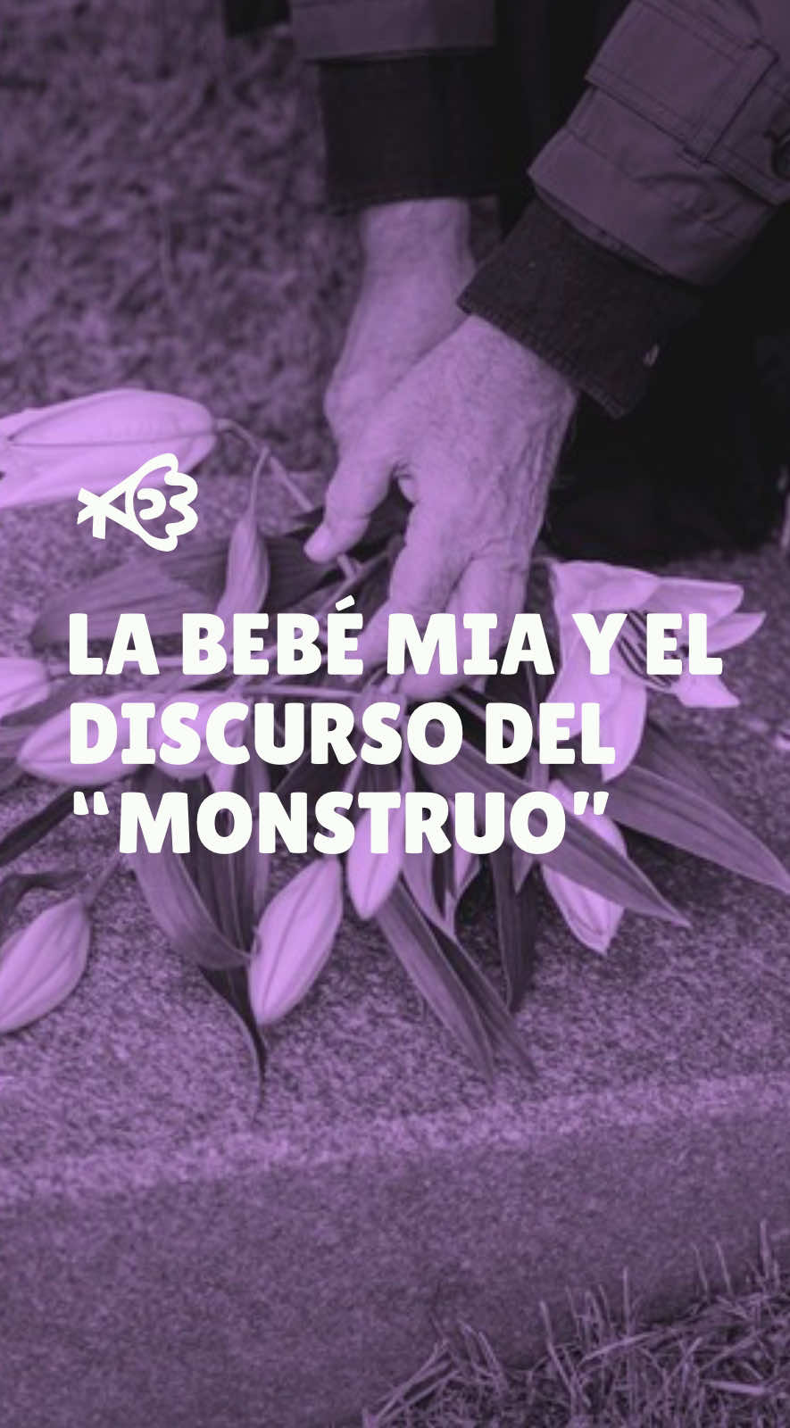 @Jacarandas
