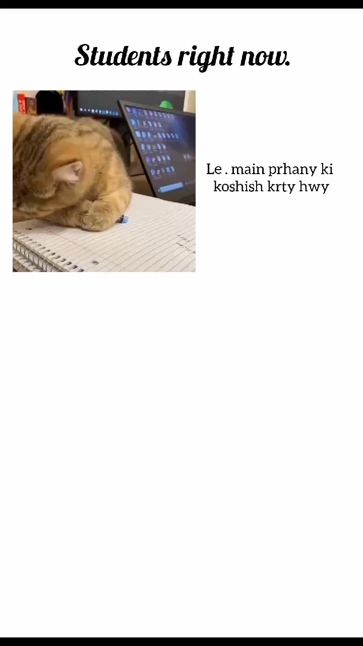 @๐ฉ๐ ๐ ๐ ุญ ๐ผ ๐๐ช ใ