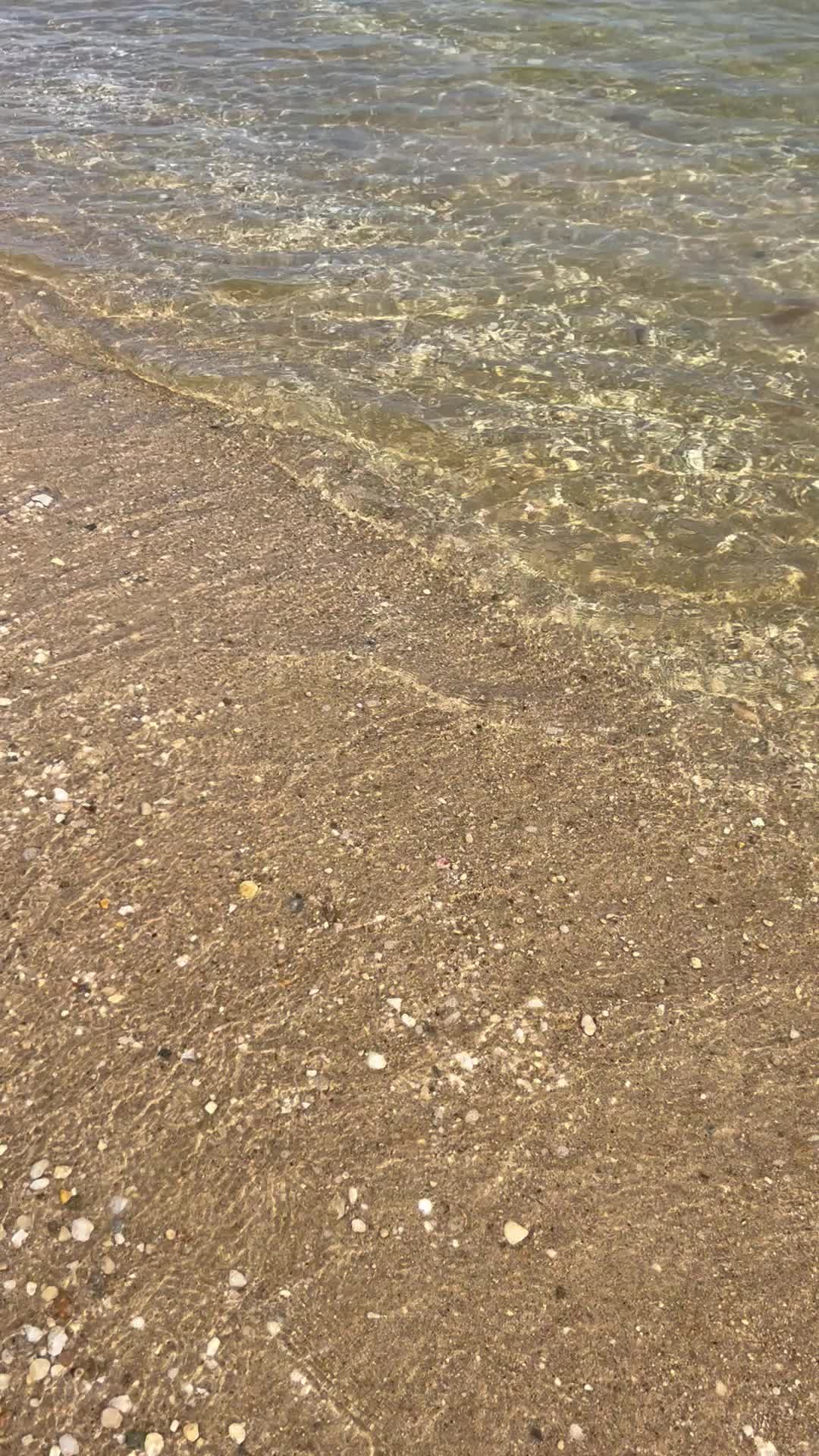 @SD 🇦🇫💞🇺🇸