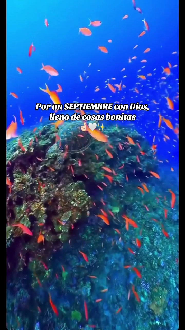 @Jessy Serrano