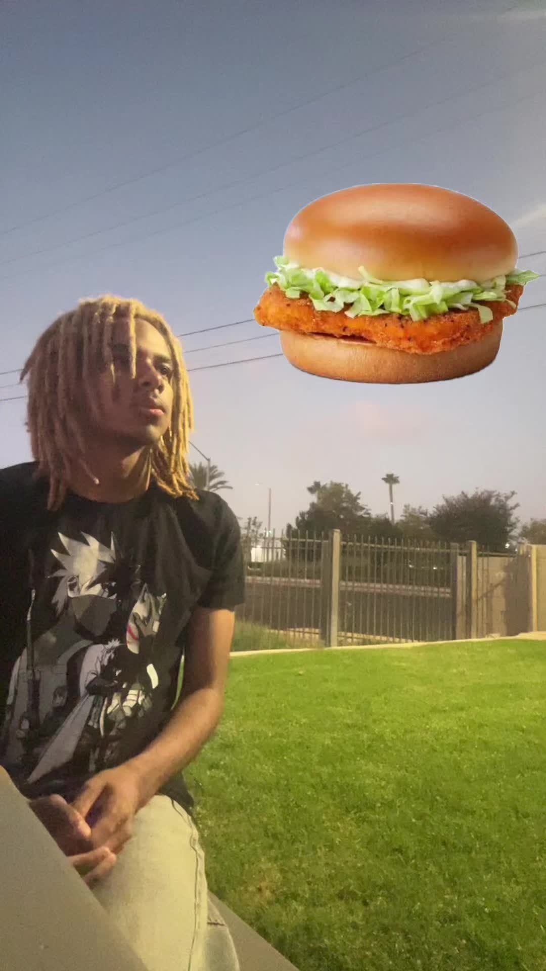 @ohbabyilovemcchickens