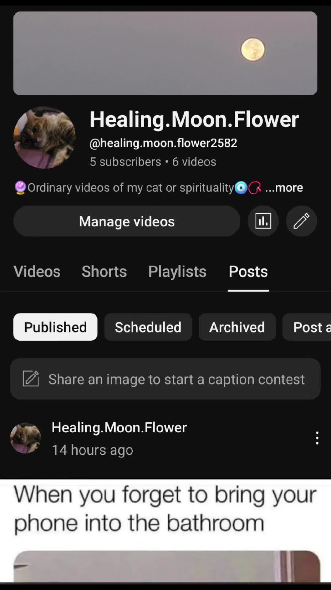 @Moon Flower ✨️