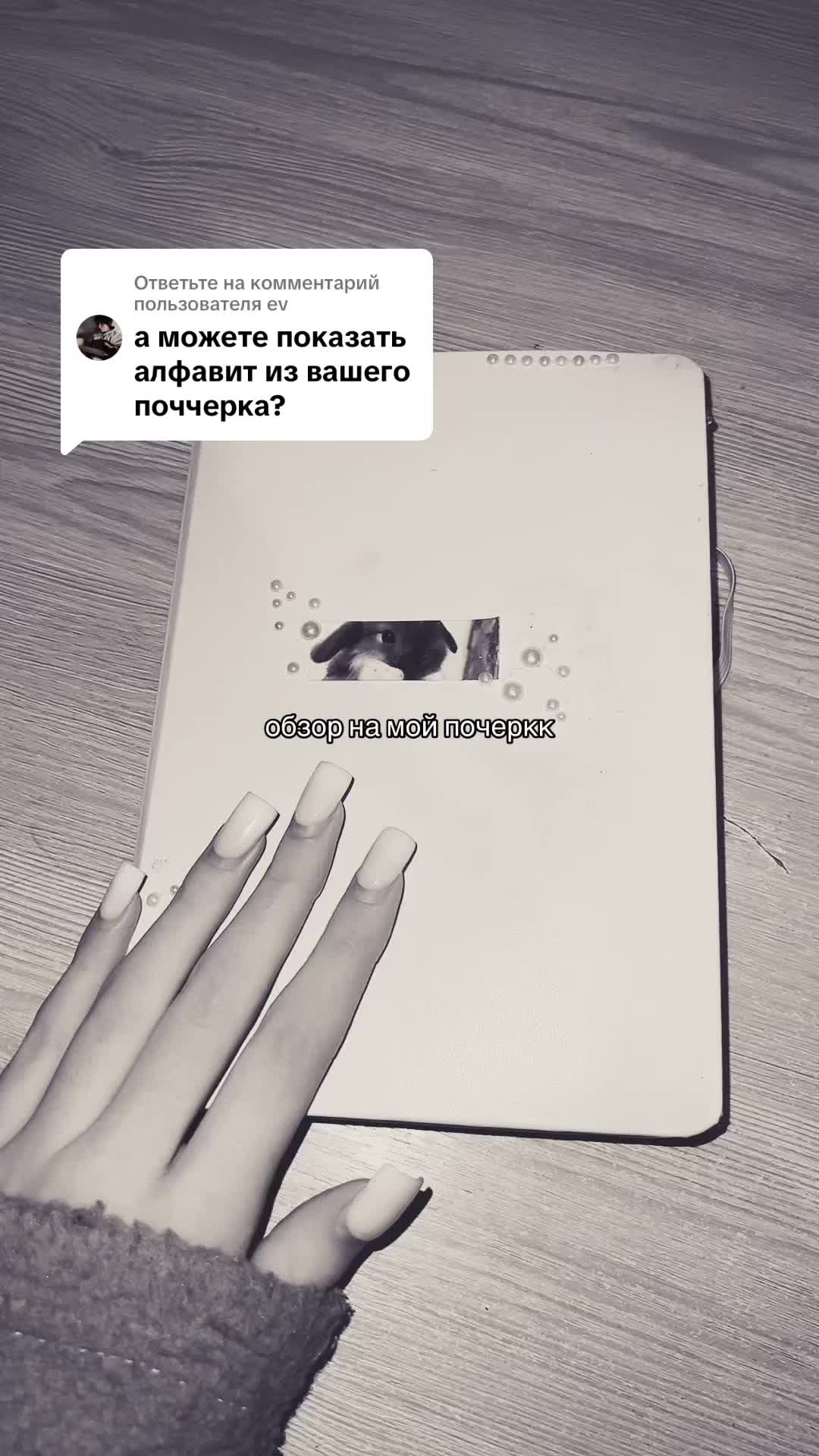 @шиншила.com