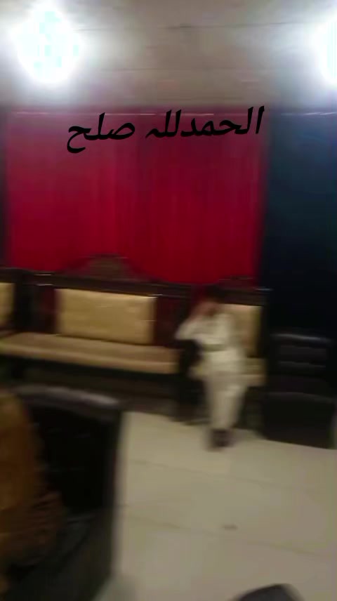 @Aamir khan Tiger